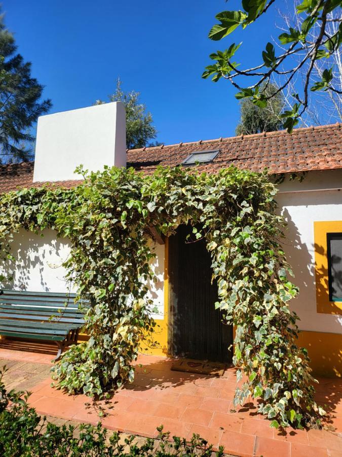 Hotel Quinta Da Mimosa Fajarda Exterior foto